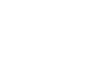 XENEST HOLDINGS